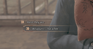 Hogwarts Legacy  - Quest with Payment