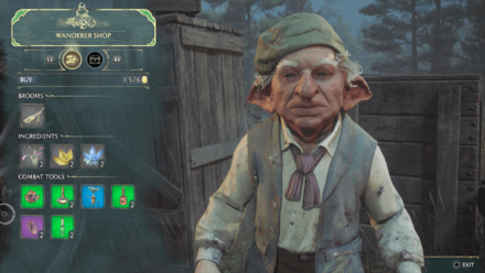 Hogwarts Legacy - Shops Outside Hogsmeade