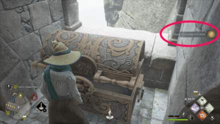 Hogwarts Legacy - Bridge Outfit