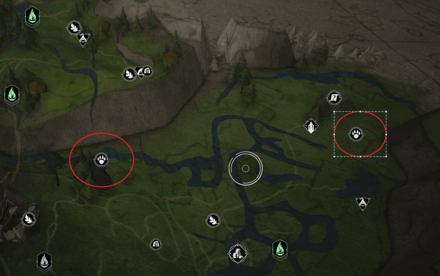 North Bog two Camps- Hogwarts Legacy