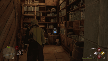 Hogwarts Legacy - Library Annex Long Gallery Demiguise Statue World View