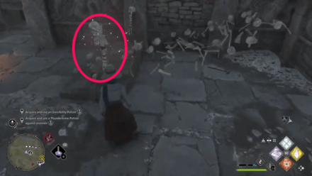 Hogwarts Legacy - Skeleton Totem