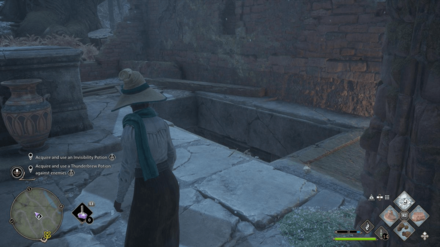 Hogwarts Legacy - Underground Tomb World Location