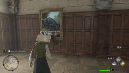 Hogwarts Legacy - Revelio Field Guide Pages