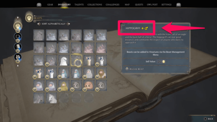 Hogwarts Legacy - Shiny symbol also appears in the inventory screen