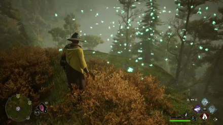 Hogwarts Legacy - Butterflies Trial