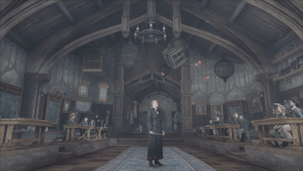 Hogwarts Legacy - Transfiguration Class