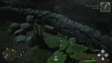 South Hogwarts Aranshire 3