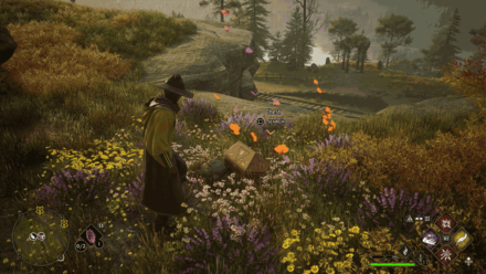 South Hogwarts Aranshire 4