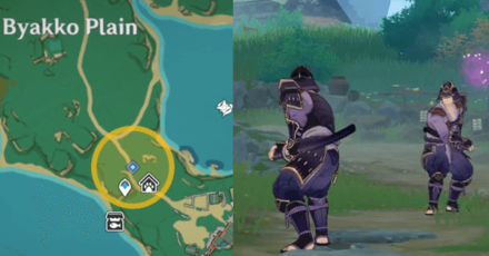 Genshin - Unexpected Battle Step 1 - Head to Byakko Plain