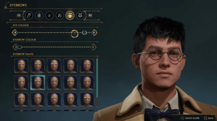 Hogwarts Legacy - Harry Potter Eyebrows and Eyecolor