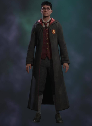 Hogwarts Legacy - Harry Potter Build