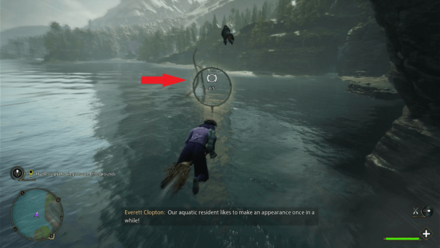 Giant Squid Hogwarts Legacy