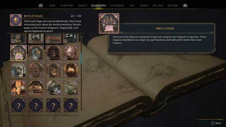 Frog Choir Hogwarts Legacy