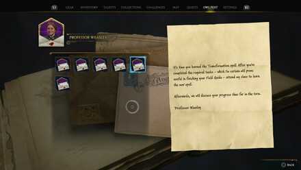 Hogwarts Legacy Professor Weasley