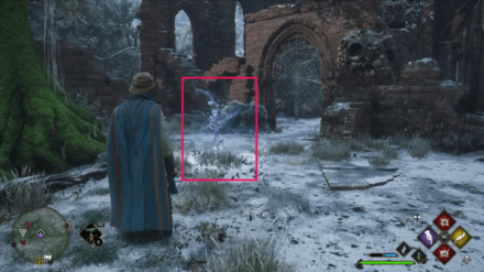 Ancient Magic Hotspot - Forbidden Forest 1 with Guide