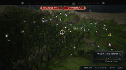 Ancient Magic Hotspot - Forbidden Forest 1 Map View
