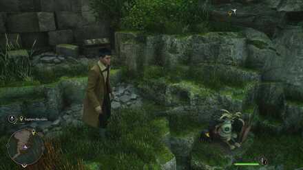 Fantastic Beasts and Where to Find Them Hogwarts Legacy