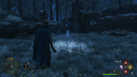 Ancient Magic Hotspot - Hogwarts Valley, Near West Floo Flame 2