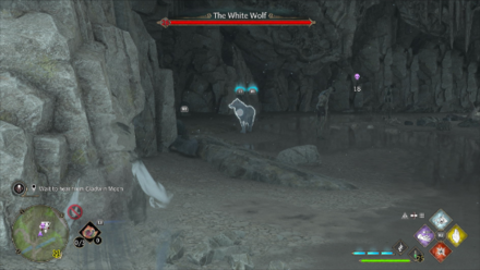 Hogwarts Legacy - The White Wolf World Location