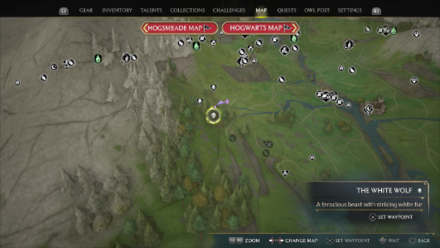 Hogwarts Legacy - The White Wolf Map Location