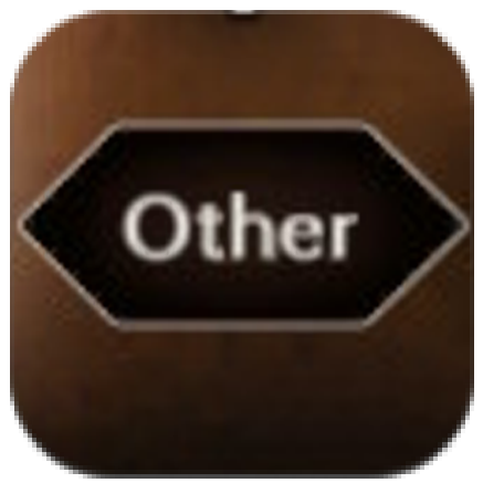 Other Icon