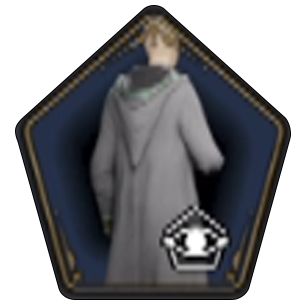 Decorative School Robe