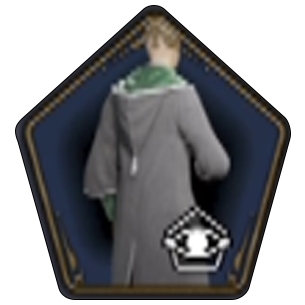 Embellished House Cloak