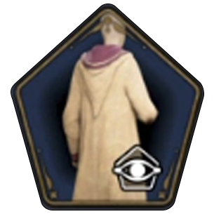 Regal Golden Silk Robe