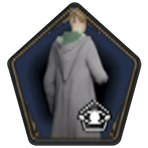 Traditional School Robe