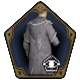 Dark Arts Robe