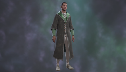 Embellished House Cloak