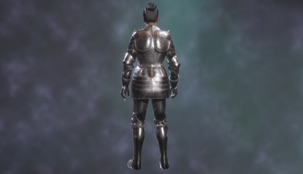 Spider Slayer Armour