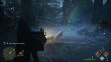 Capturing Beasts Hogwarts Legacy