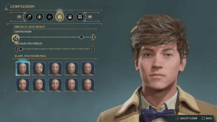 Hogwarts Legacy - Newton Scamander