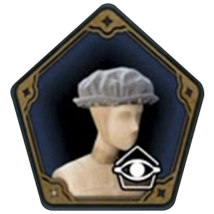 Hogwarts Regalia Hat