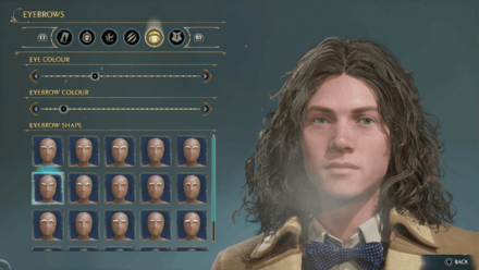 Hogwarts Legacy - Sirius Black Eyebrows