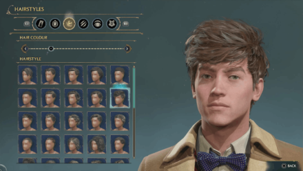 Hogwarts Legacy - Newt Scamander Hairstyles