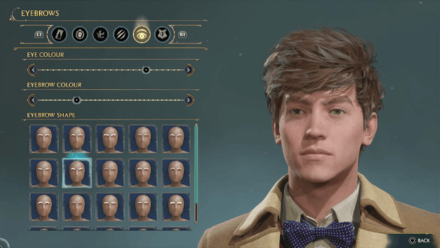 Hogwarts Legacy - Newt Scamander Eyebrows