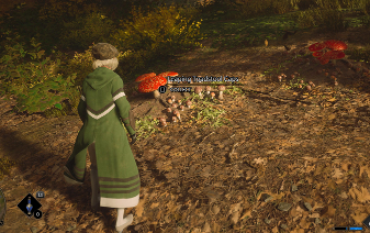 Leaping Toadstool World View- Hogwarts Legacy