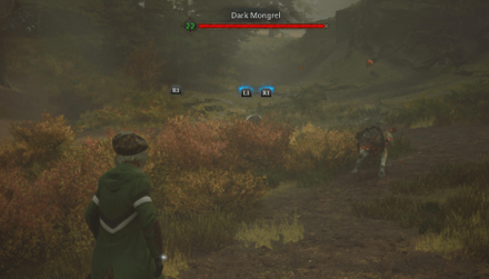 Mongrel Fur World View- Hogwarts Legacy