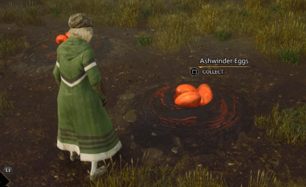 Ashwinder Egg World View- Hogwarts Legacy