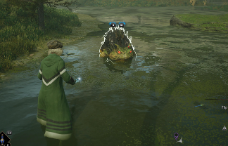 Dugbog World View- Hogwarts Legacy