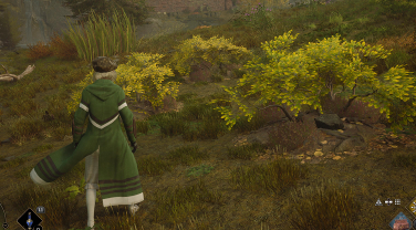 Lacewings Worldview- Hogwarts Legacy