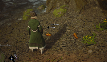 Leech Juice World View- Hogwarts Legacy