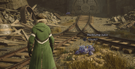 Horklump Juice World View- Hogwarts Legacy