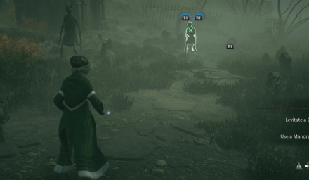 Neferi Worldview- Hogwarts Legacy