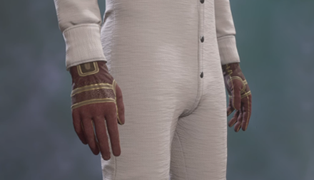 Hogwarts Regalia Gloves