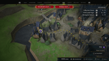 Hogwarts Legacy - Hog