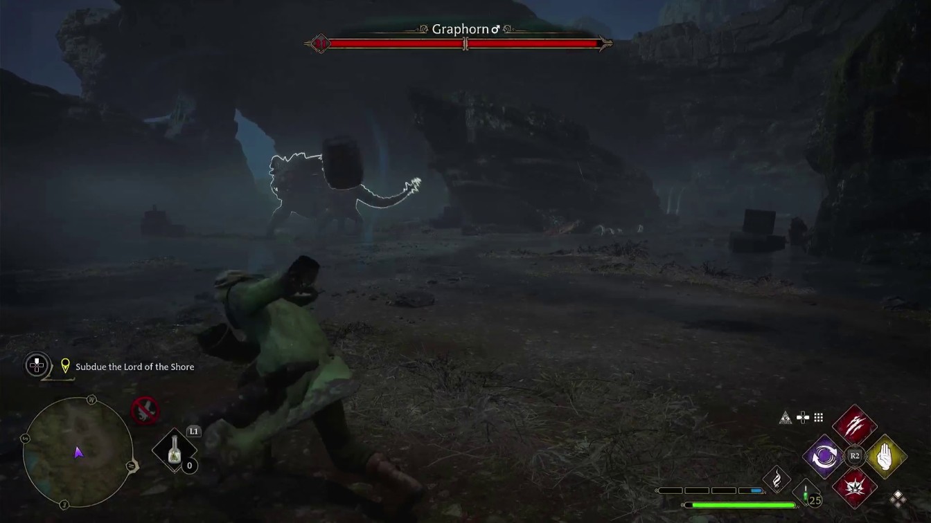 Hogwarts Legacy Graphorn Boss Fight